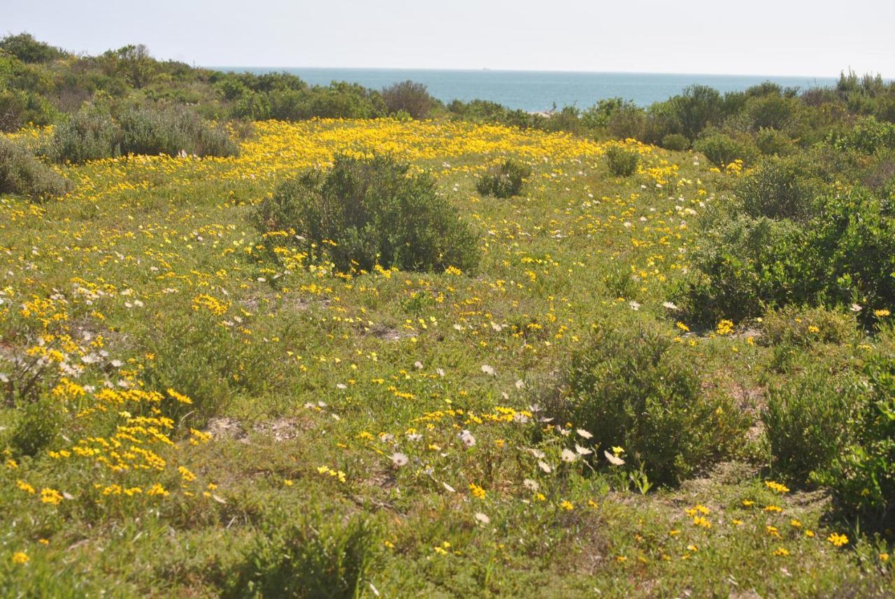 Stay At Bokkoms In Paternoster Self Catering Accommodation Esterno foto