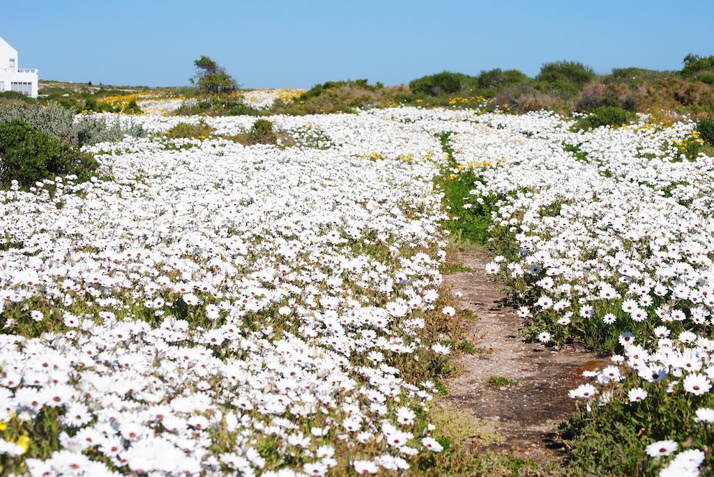 Stay At Bokkoms In Paternoster Self Catering Accommodation Esterno foto